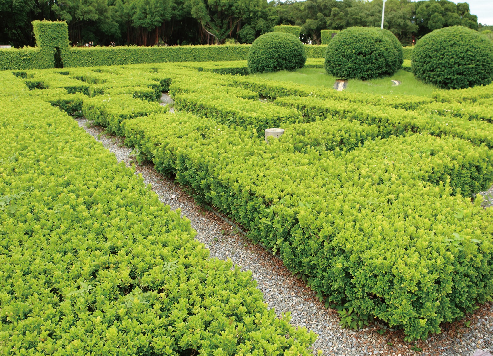 花博公園 (新生園區)