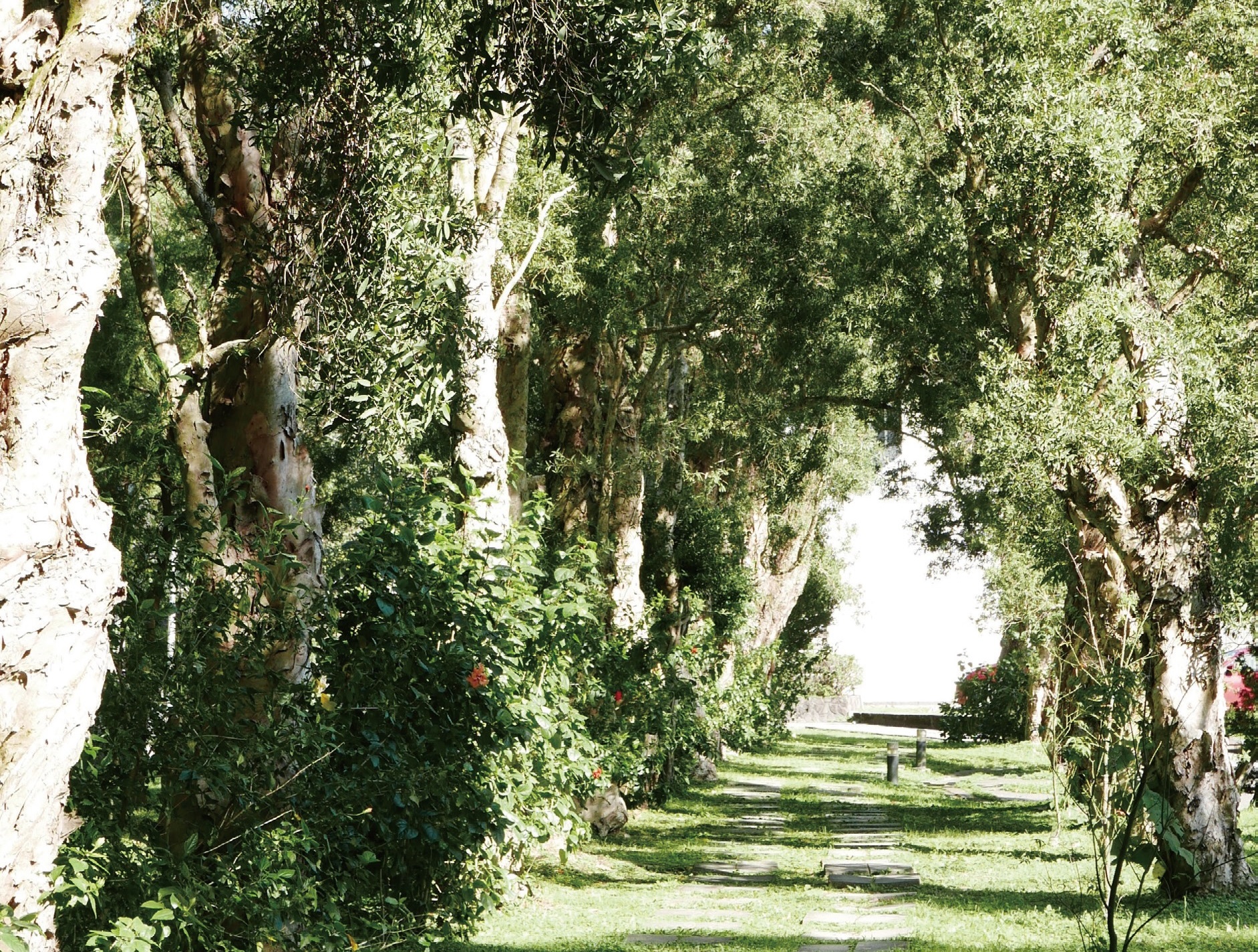 中央研究院 歷史文物陳列館