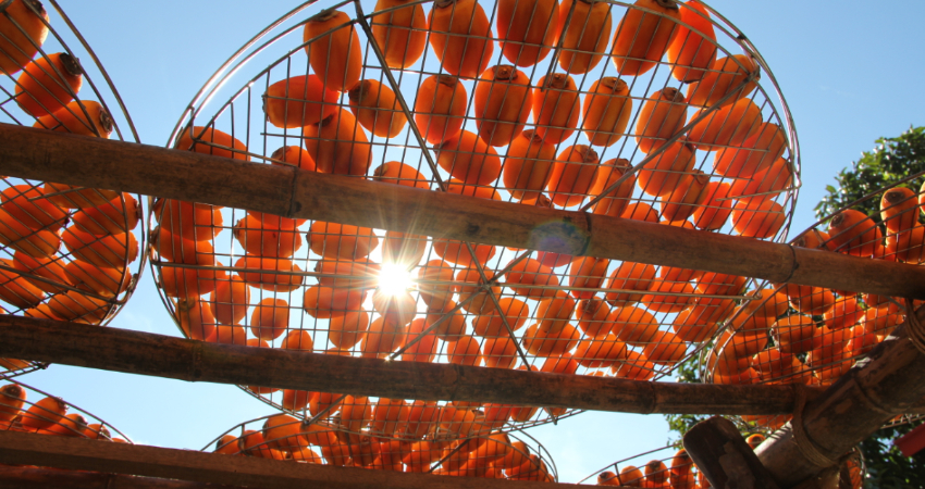 味衛佳柿餅觀光農場