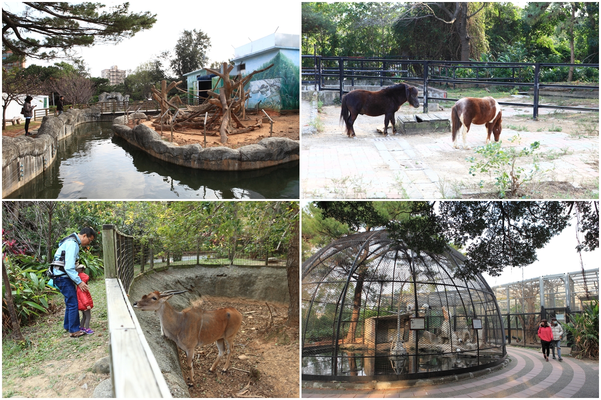 新竹市立動物園