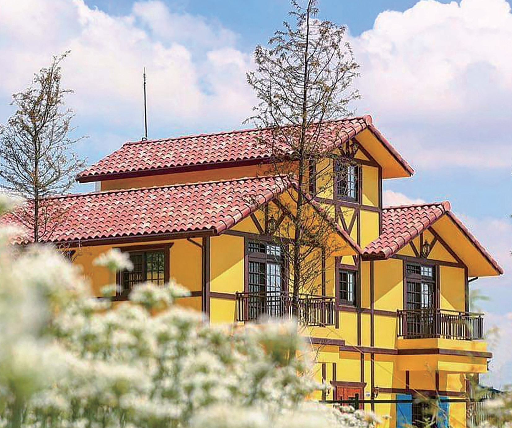 黃色小屋 咖啡莊園