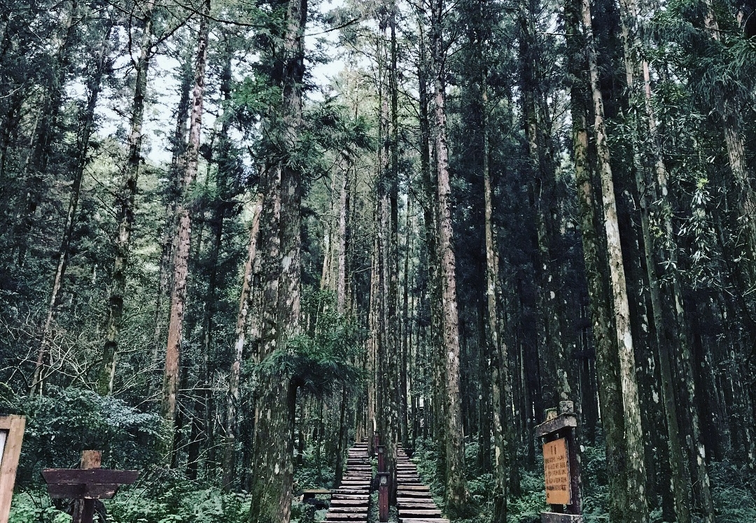 力麗馬告生態園區