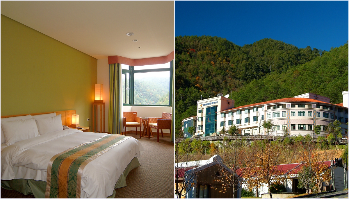 武陵富野渡假村(臺中市旅館216號)