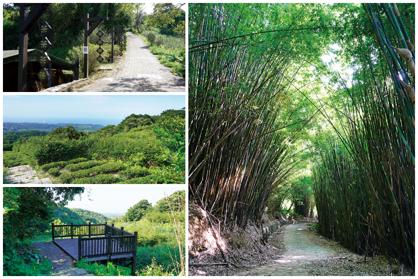 茶山步道