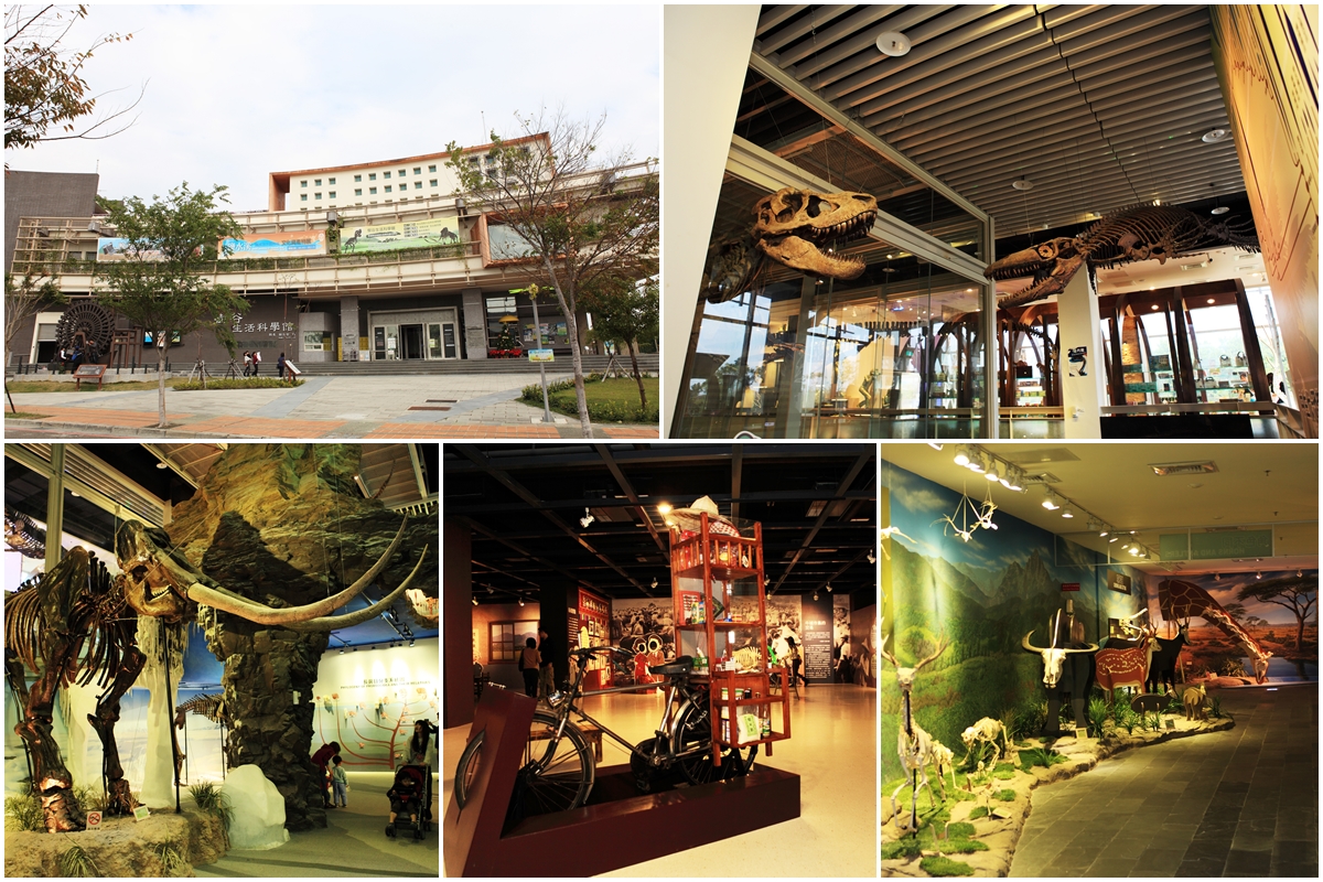 樹谷生活科學館