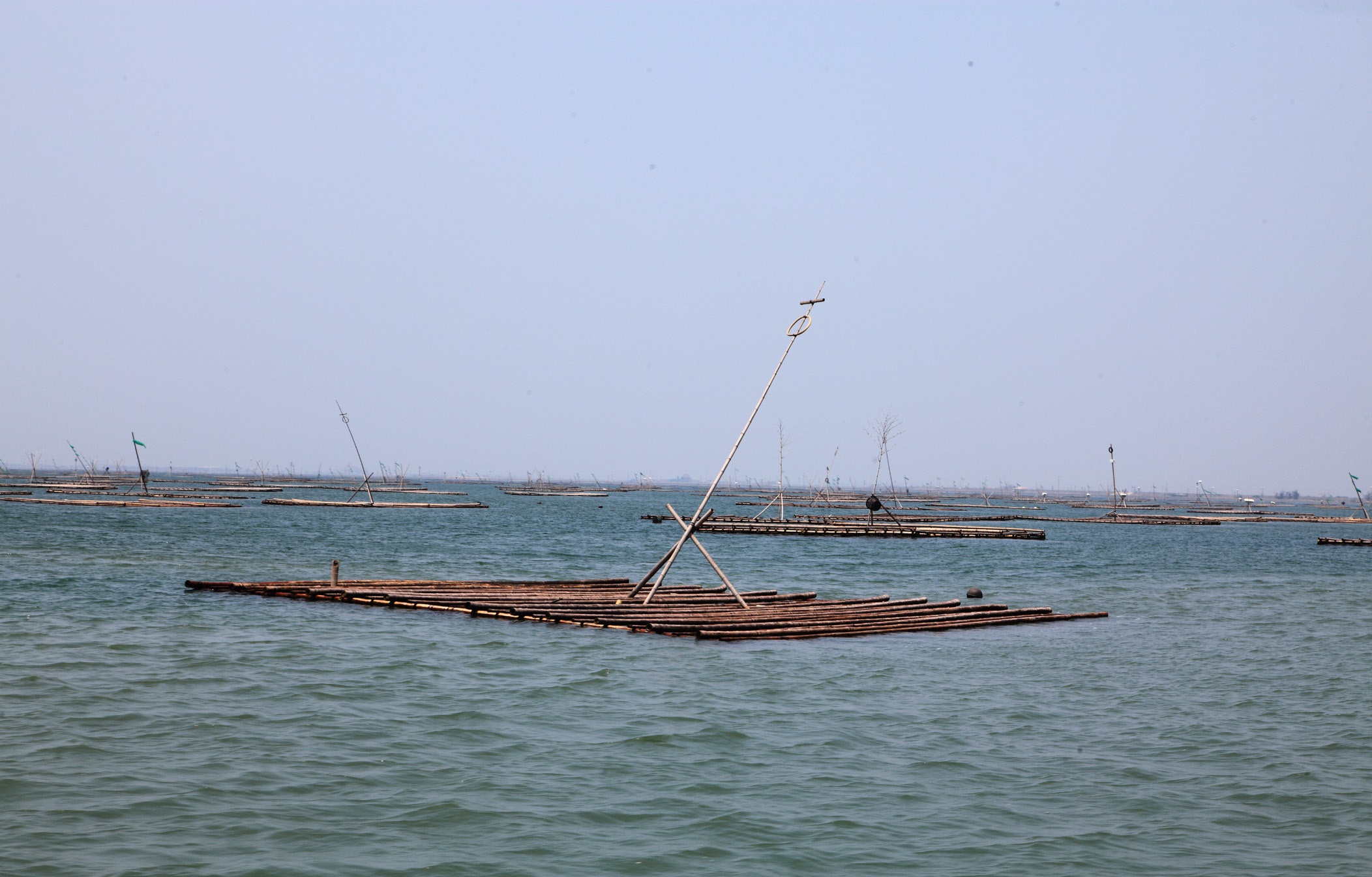 好美寮自然生態保護區