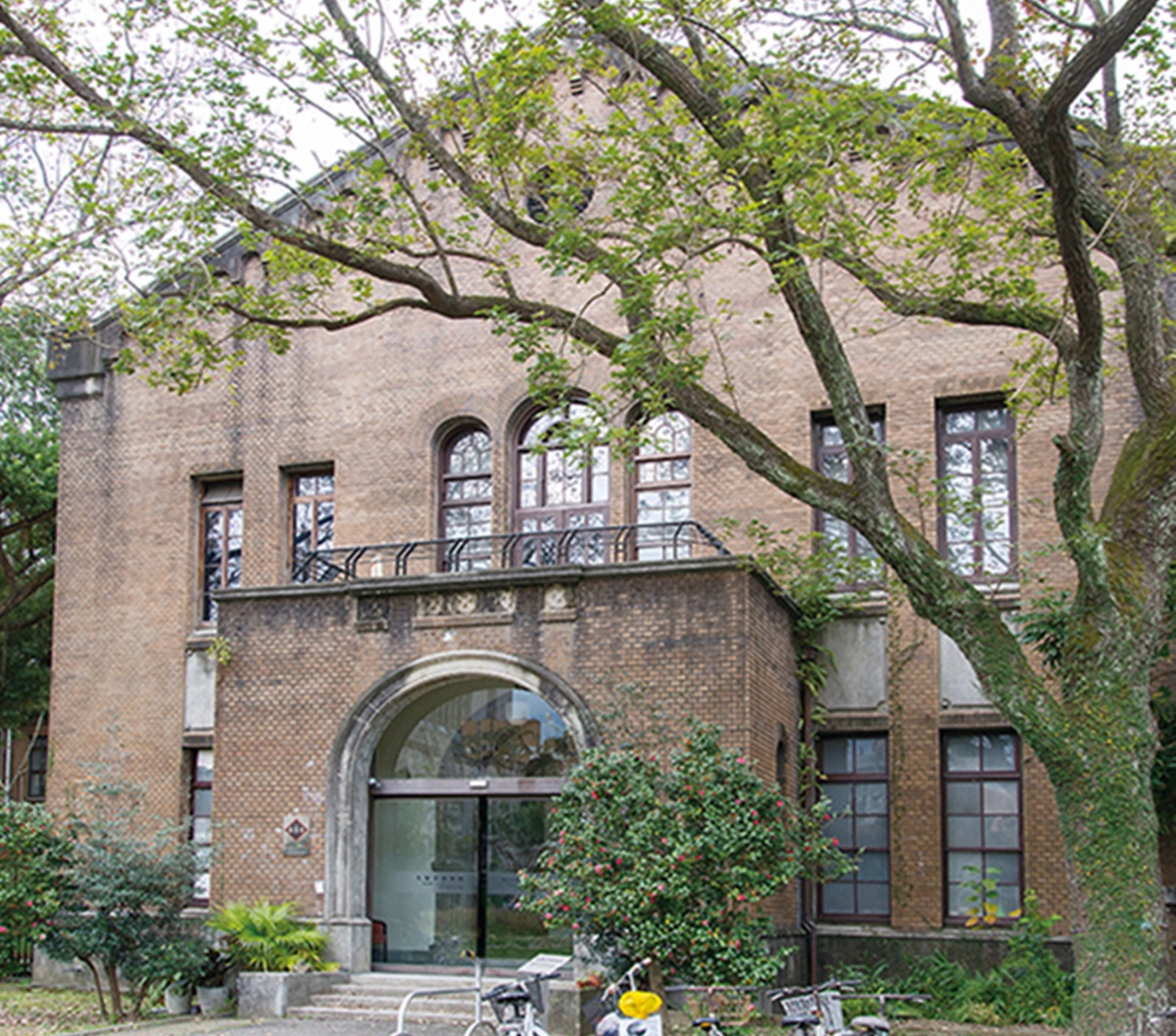 台灣大學 台灣大學
