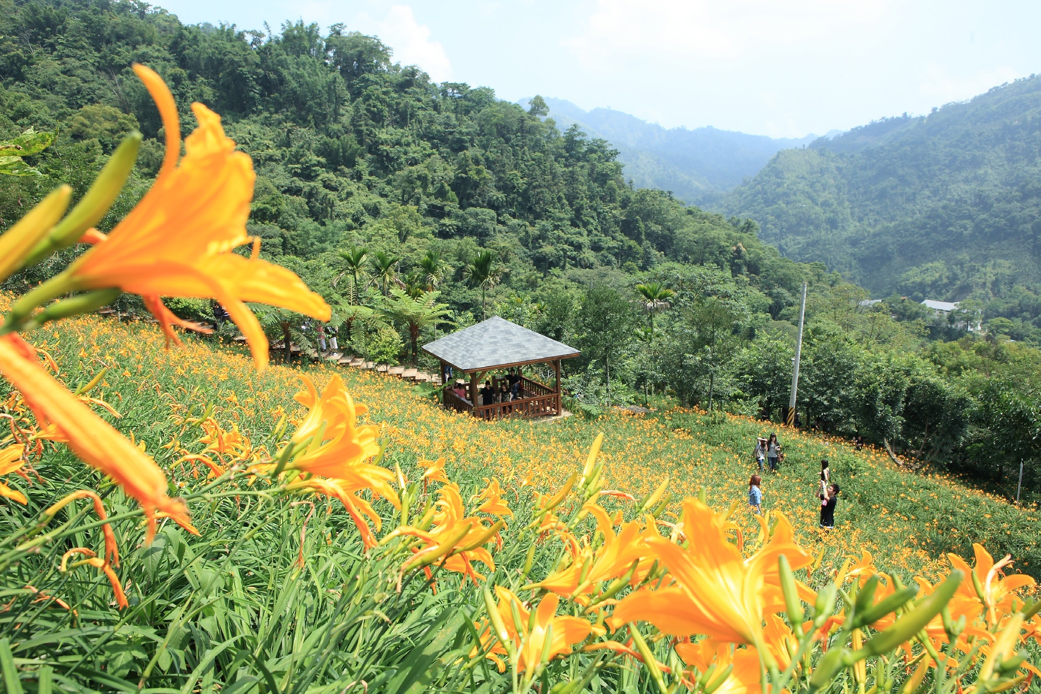沐心泉休閒農場