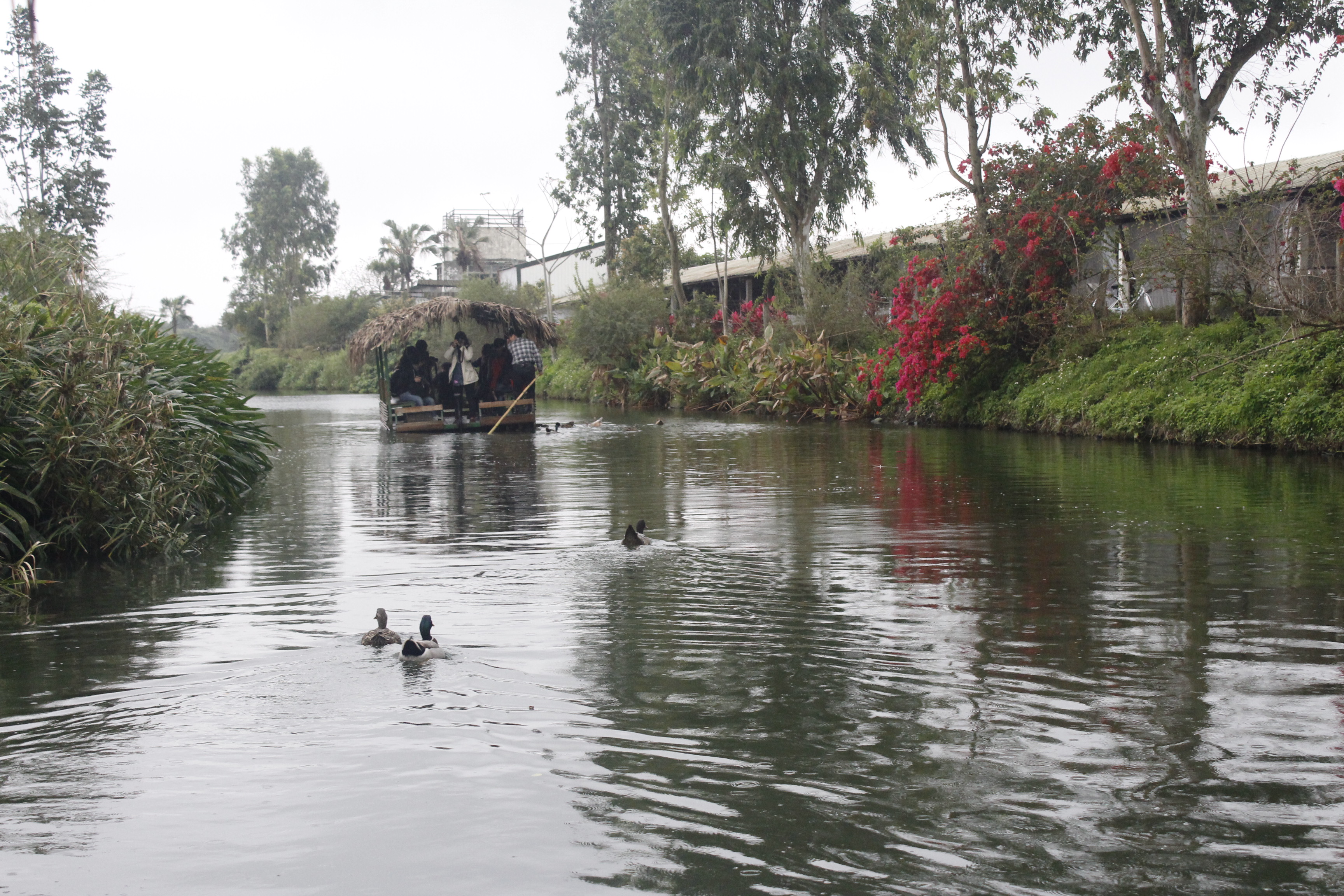 豐之谷自然生態公園