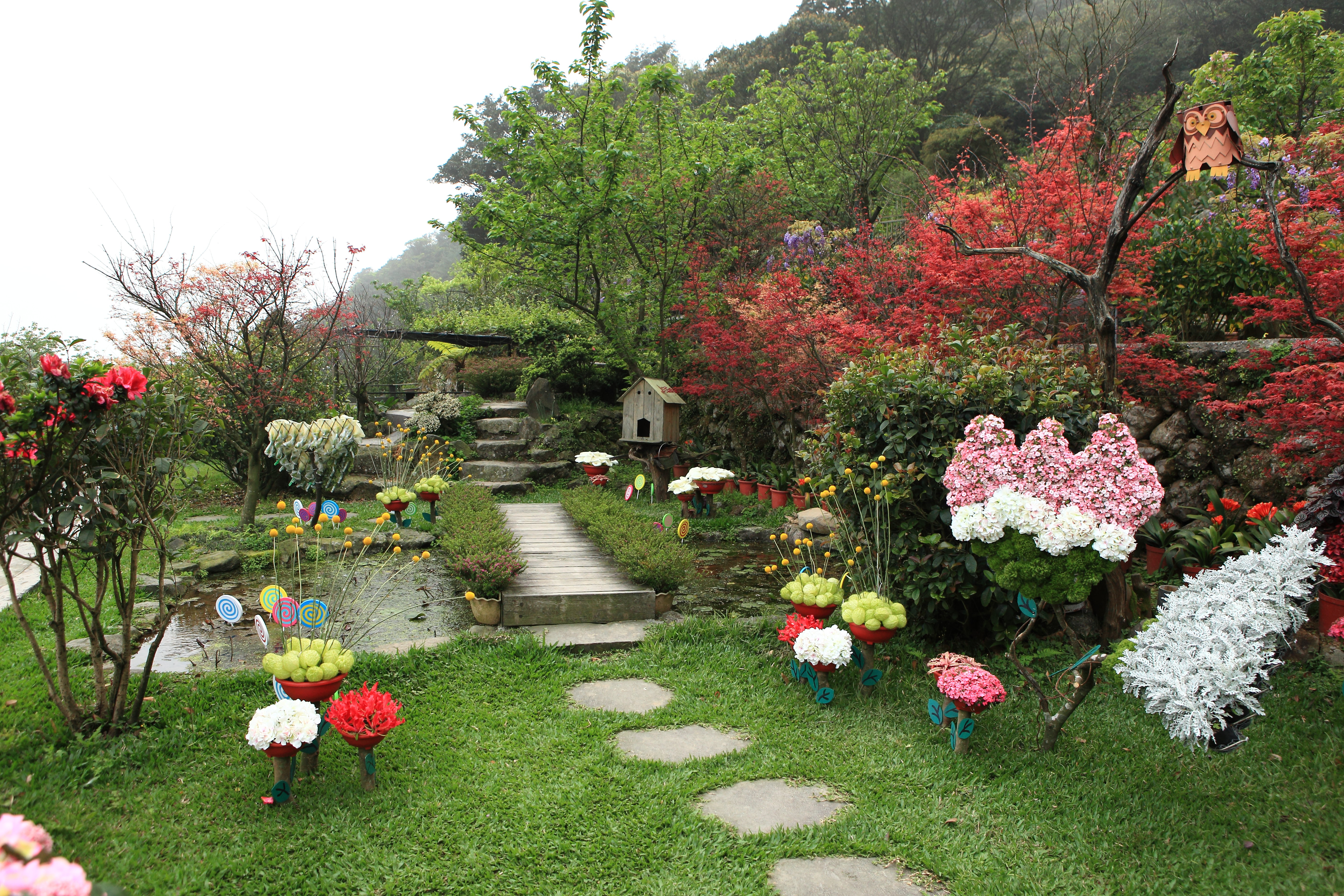 大梯田花卉生態農場