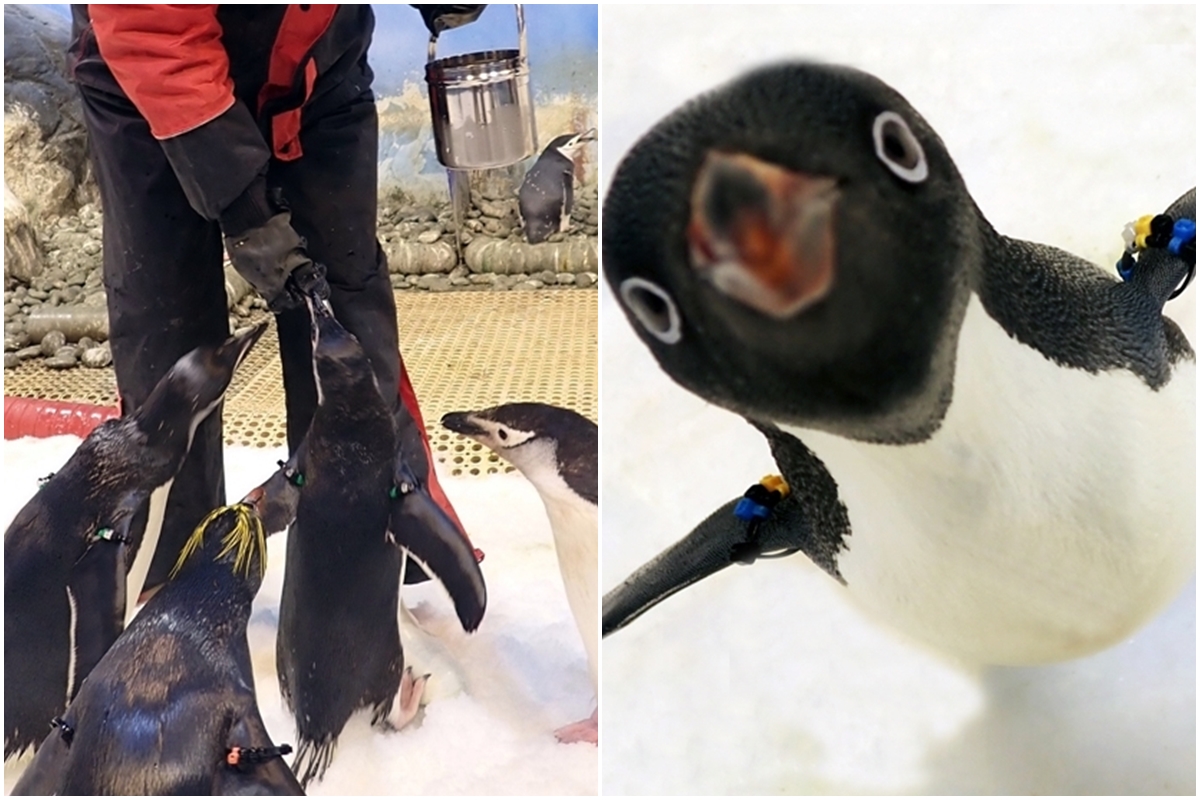 國立海洋生物博物館