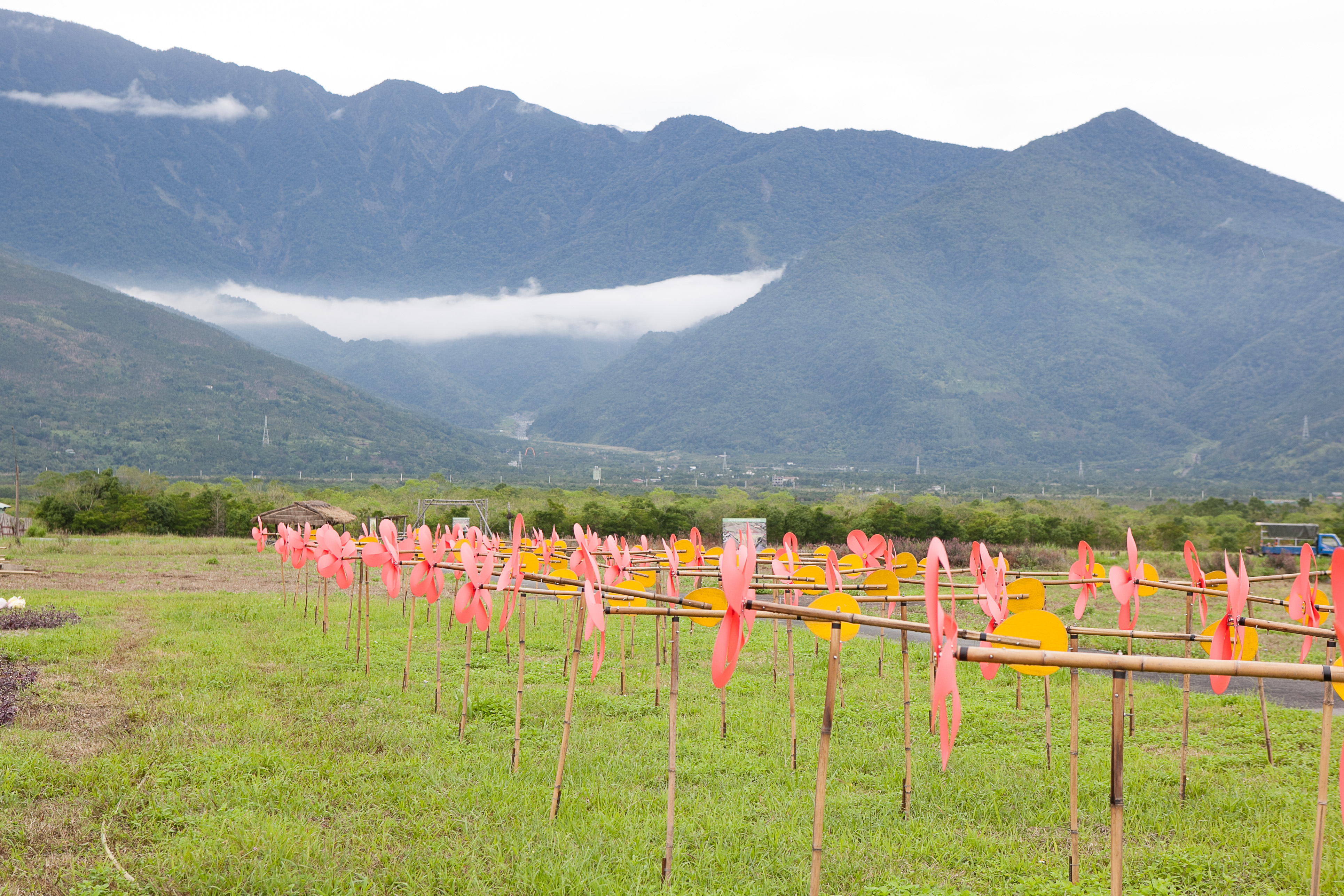 大農大富平地森林園區