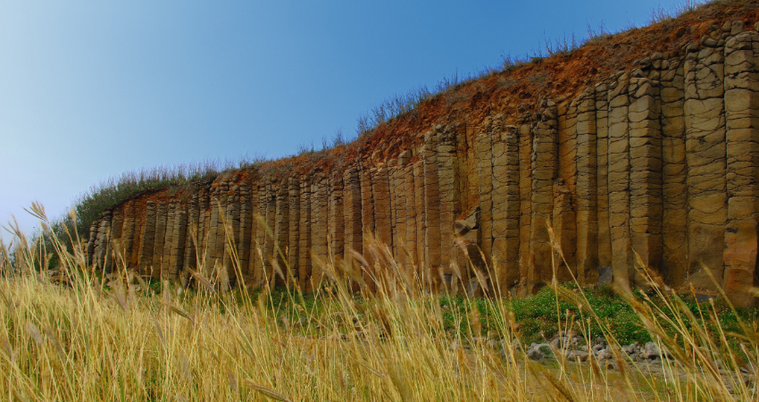 大菓葉柱狀玄武岩