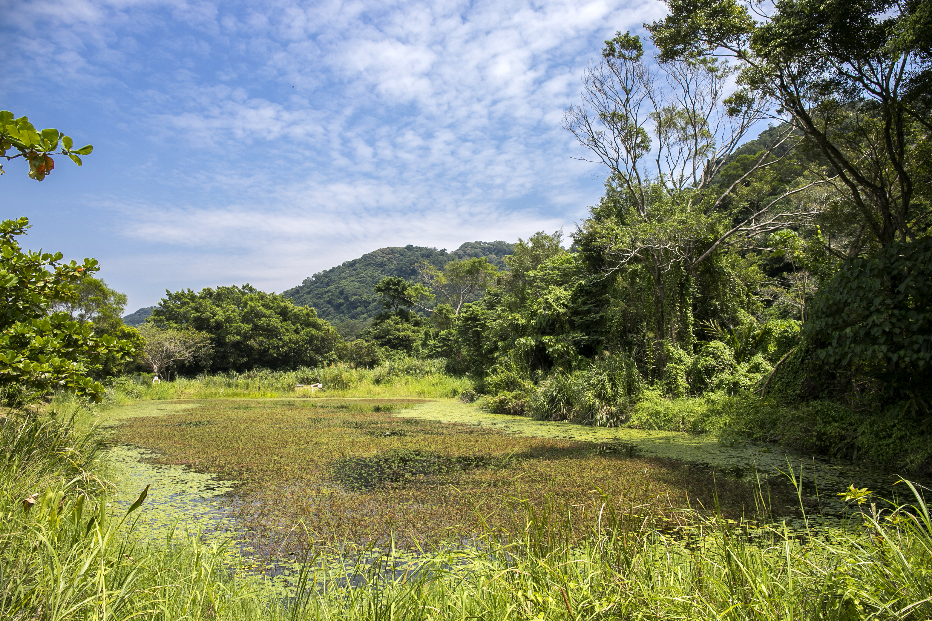 大漢溪山豬湖生態親水園區