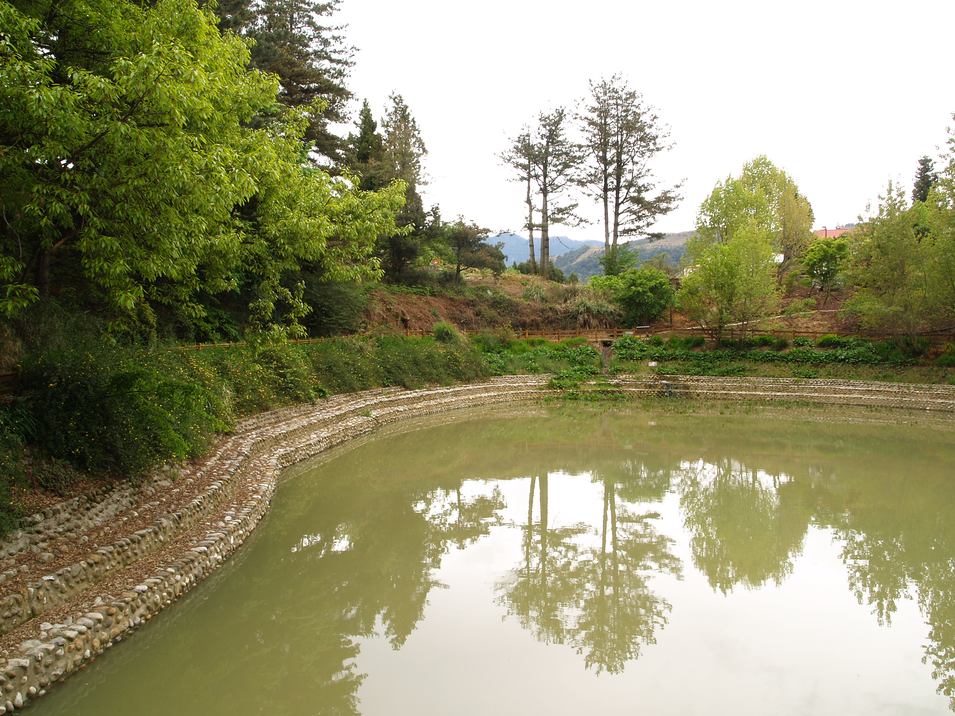 鴛鴦湖(福壽山農場)