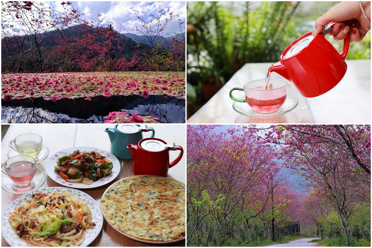 達漾咖啡莊園 達漾咖啡莊園