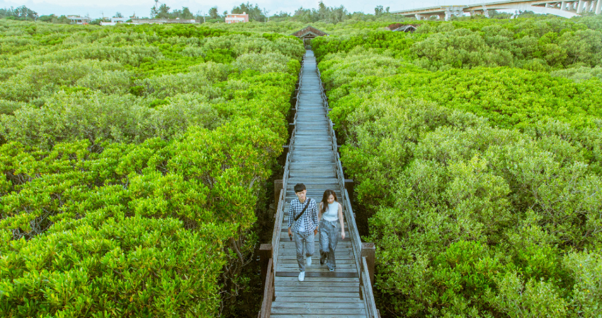 新豐紅樹林生態保護區