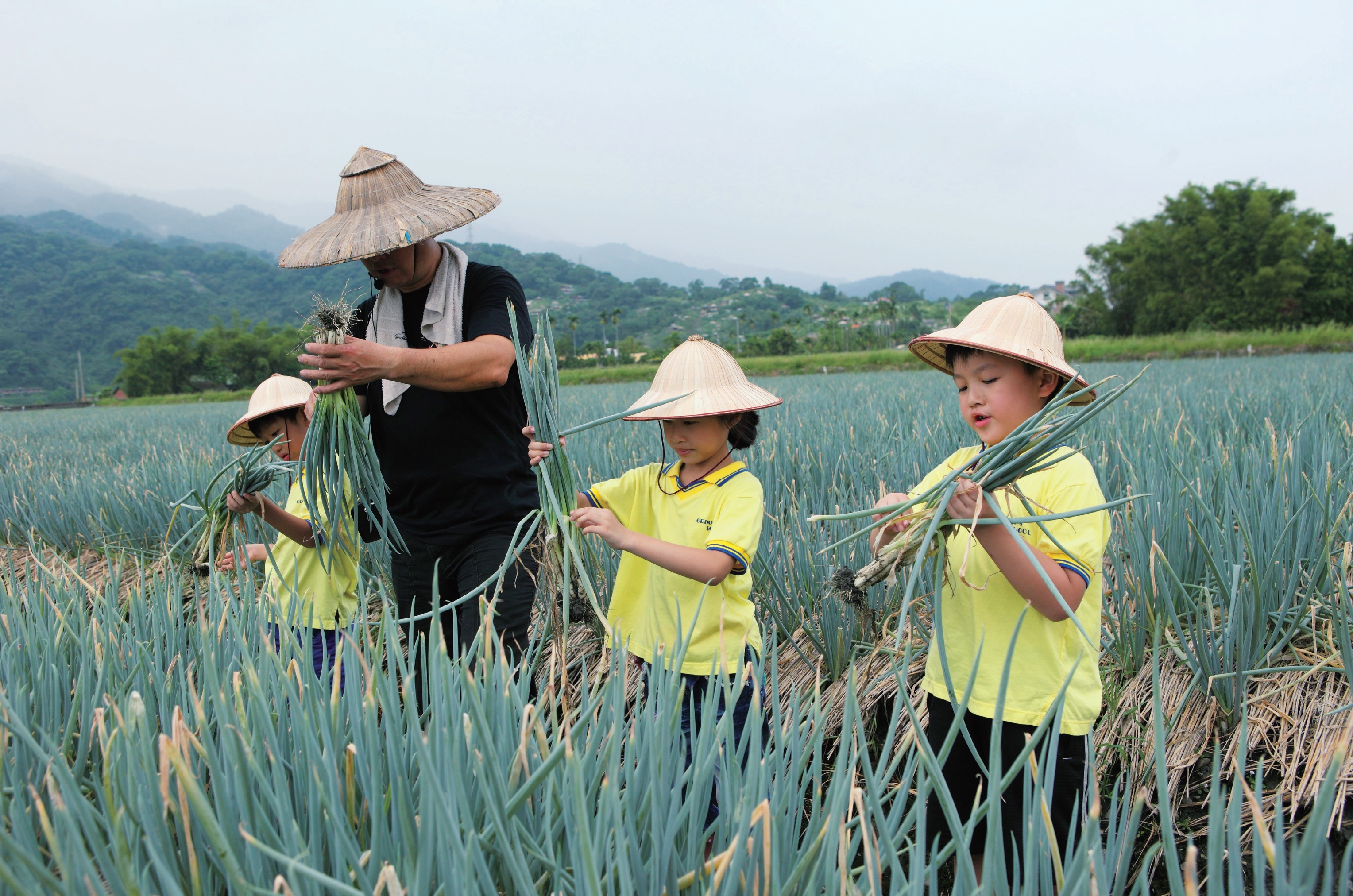 農夫青蔥體驗農場 農夫青蔥體驗農場