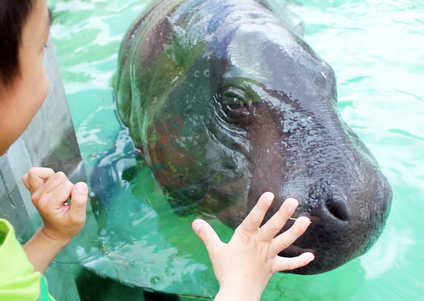 Shou Shan Zoo 壽山動物園