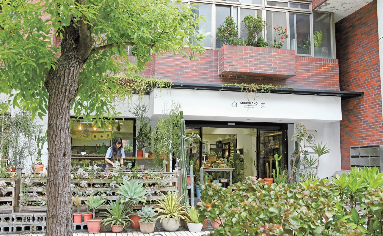 有肉 Succulent & Gift
