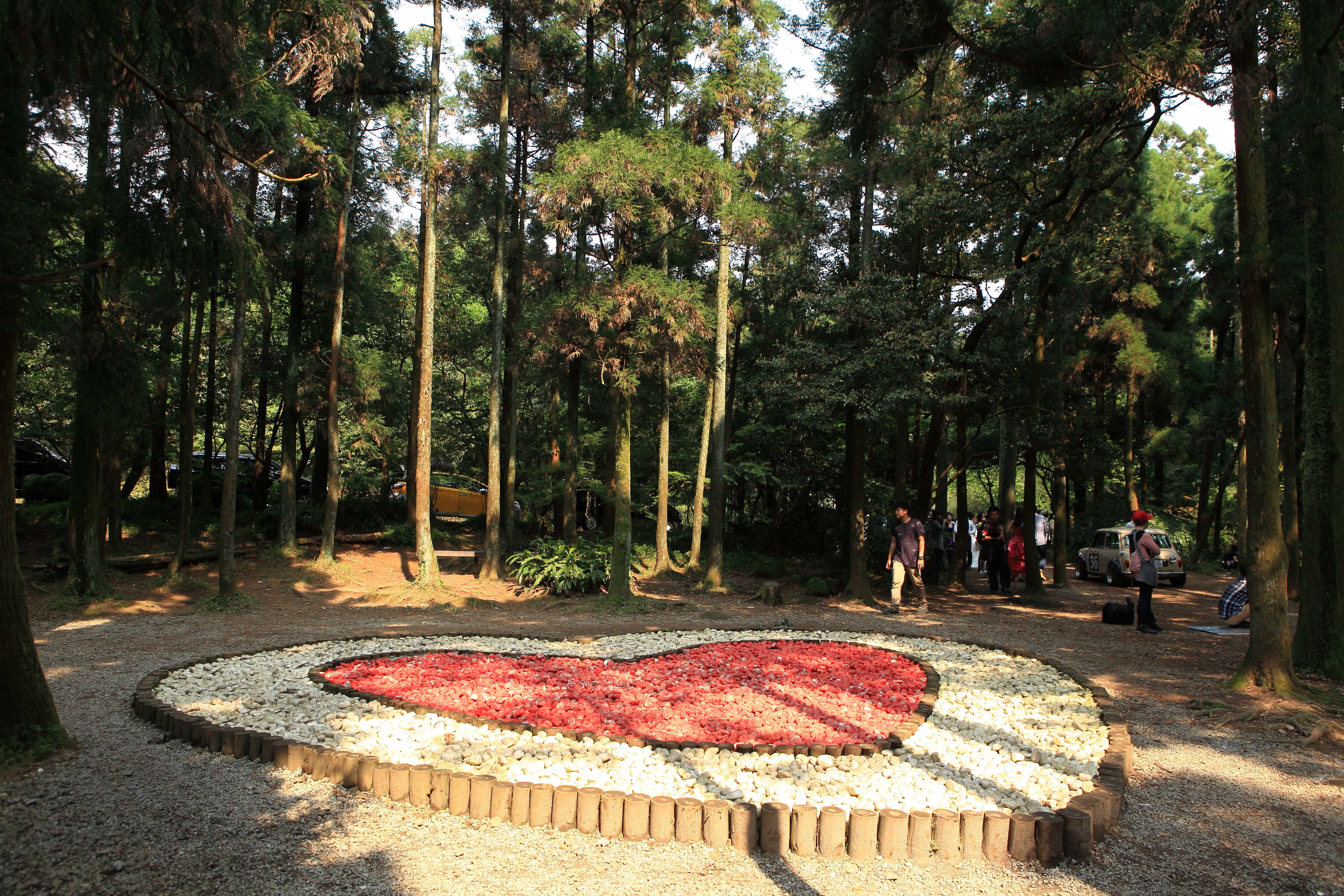 陽明山竹子湖黑森林