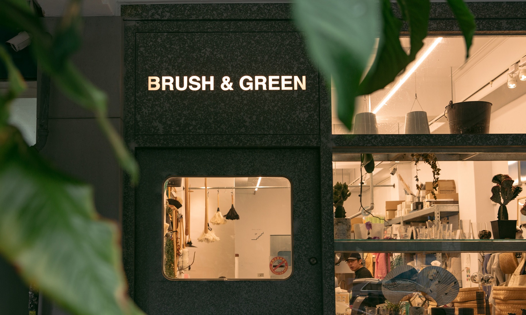 BRUSH & GREEN