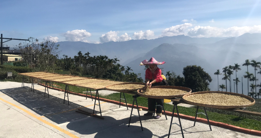 琥珀社咖啡莊園