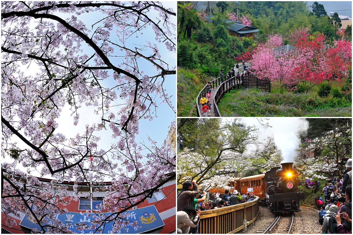 阿里山森林遊樂區