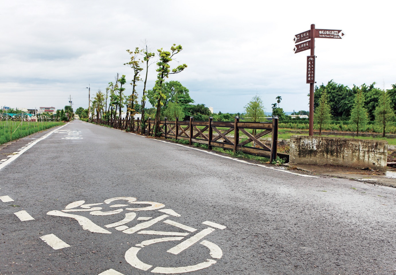 百花騎放自行車道 百花騎放自行車道