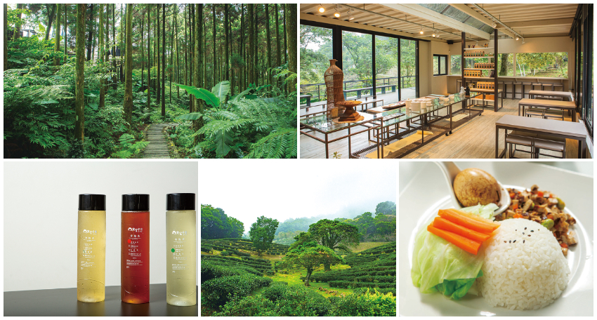 熊空有機生態茶園