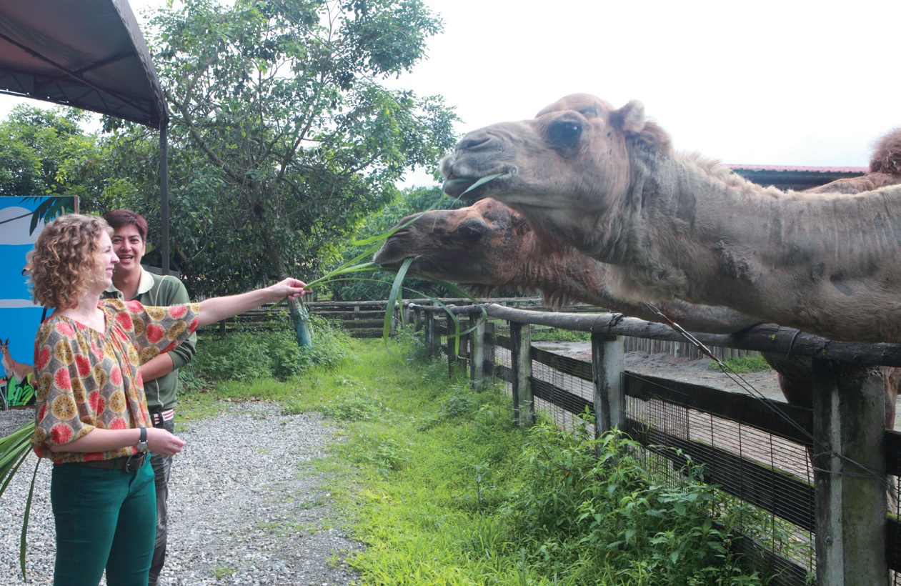 新光兆豐休閒農場