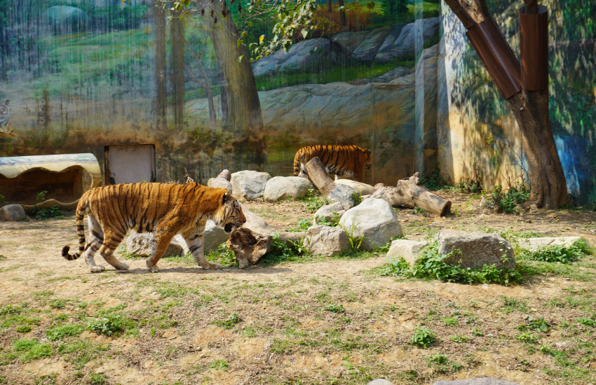 新竹市立動物園