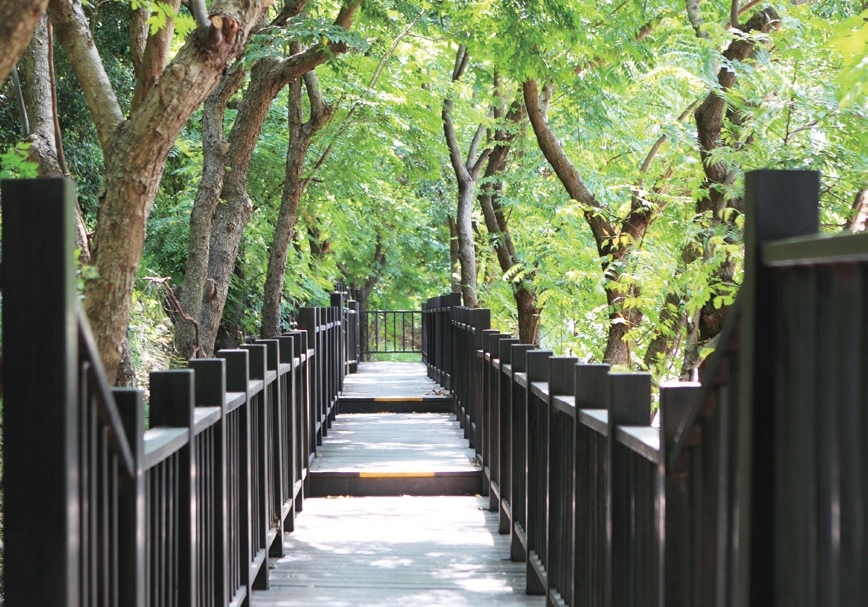 鰲峰山運動公園