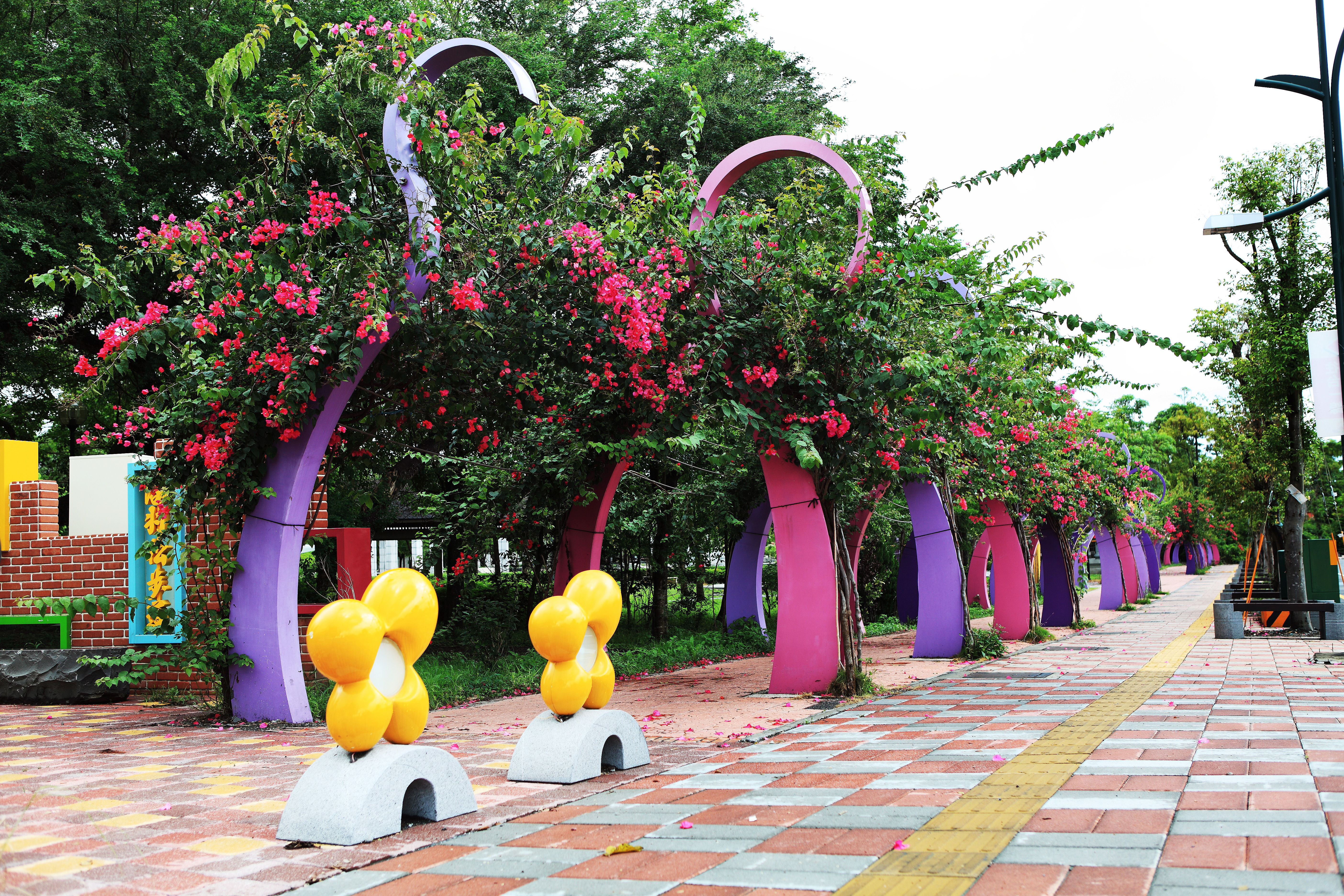 田尾公路花園 田尾公路花園