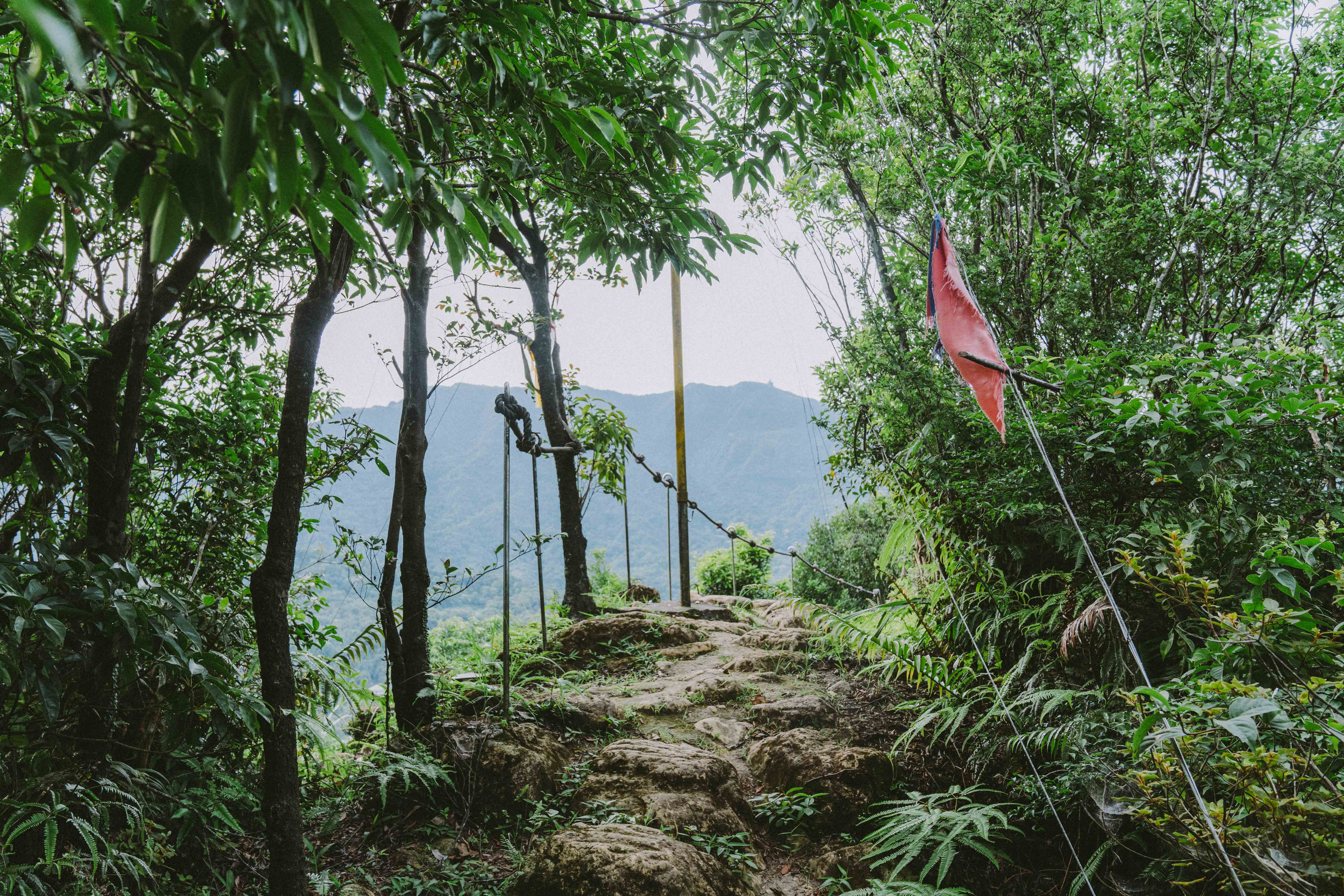 番子坑步道 番子坑步道