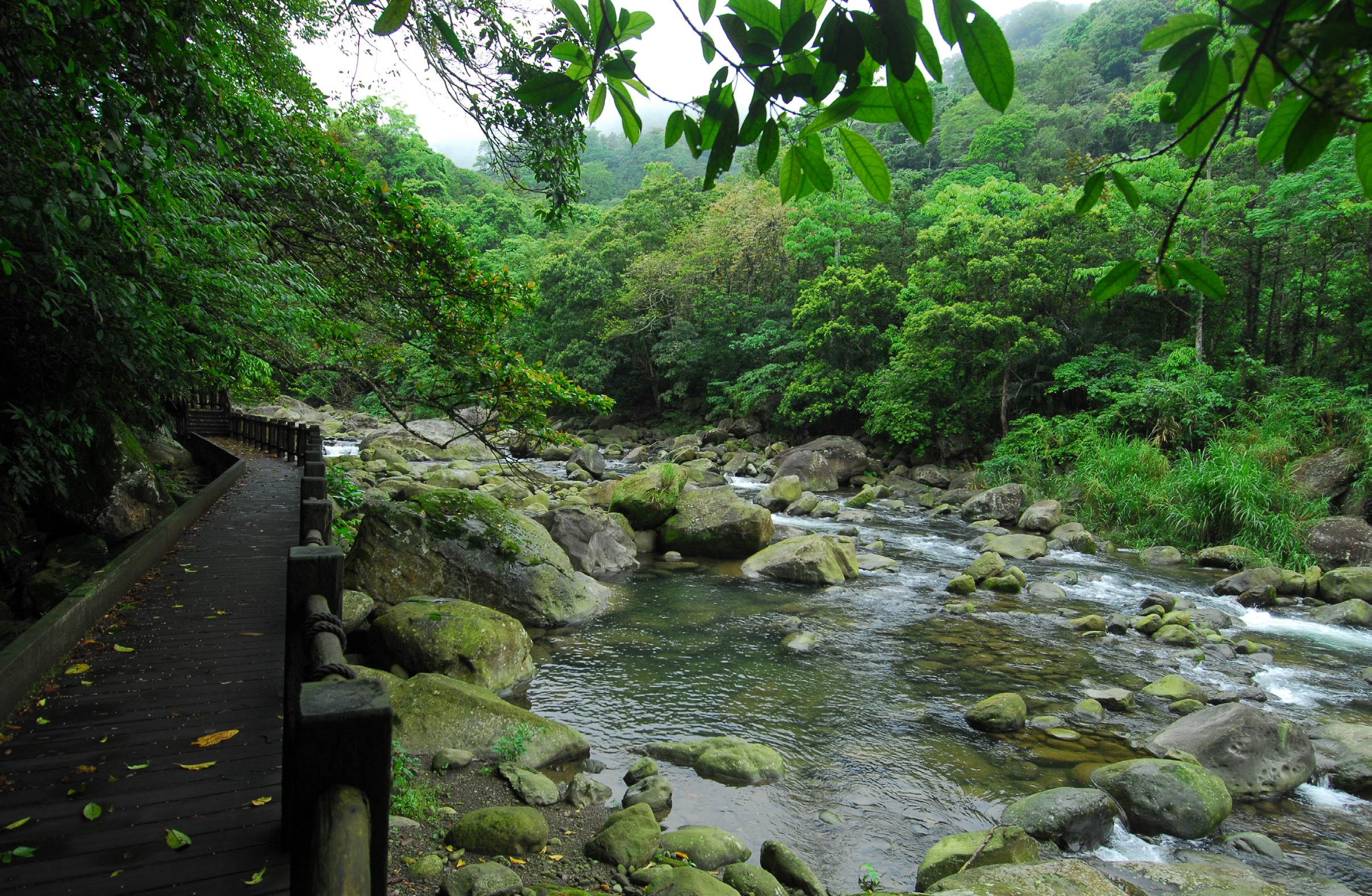 蓬萊溪護魚步道