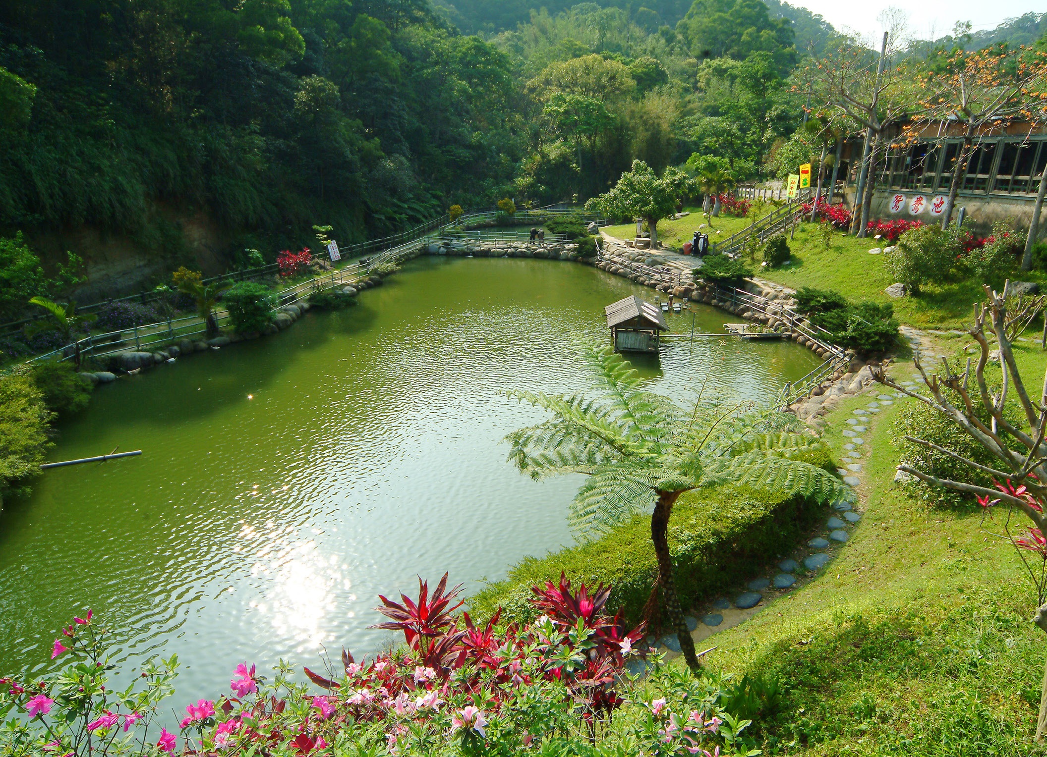 九芎湖觀光農場