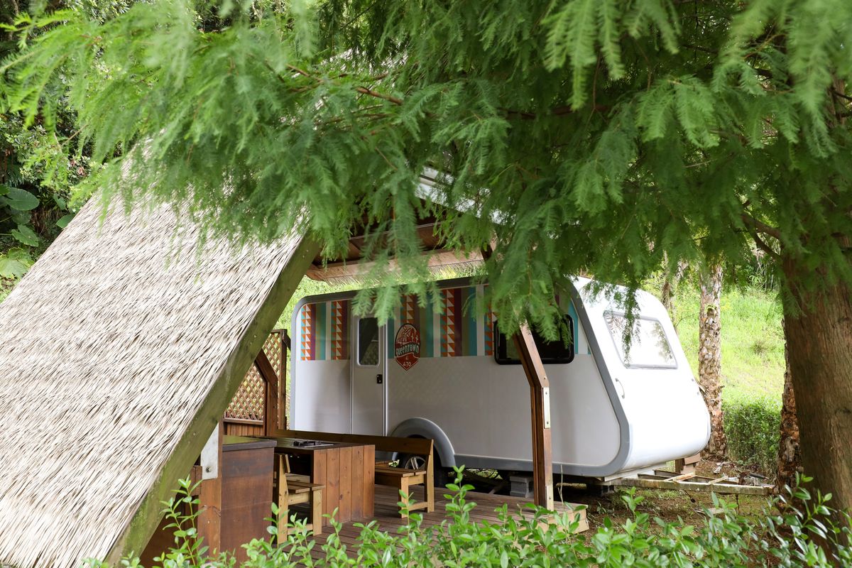 金山皇后鎮森林