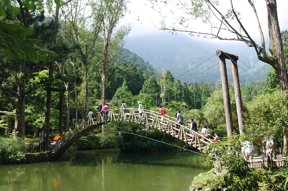 溪頭森林遊樂區