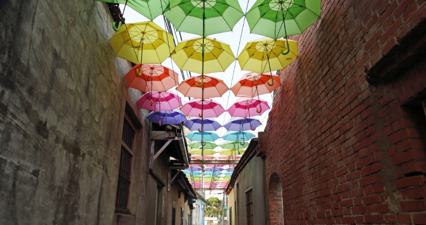 彩虹屋 卡里善之樹