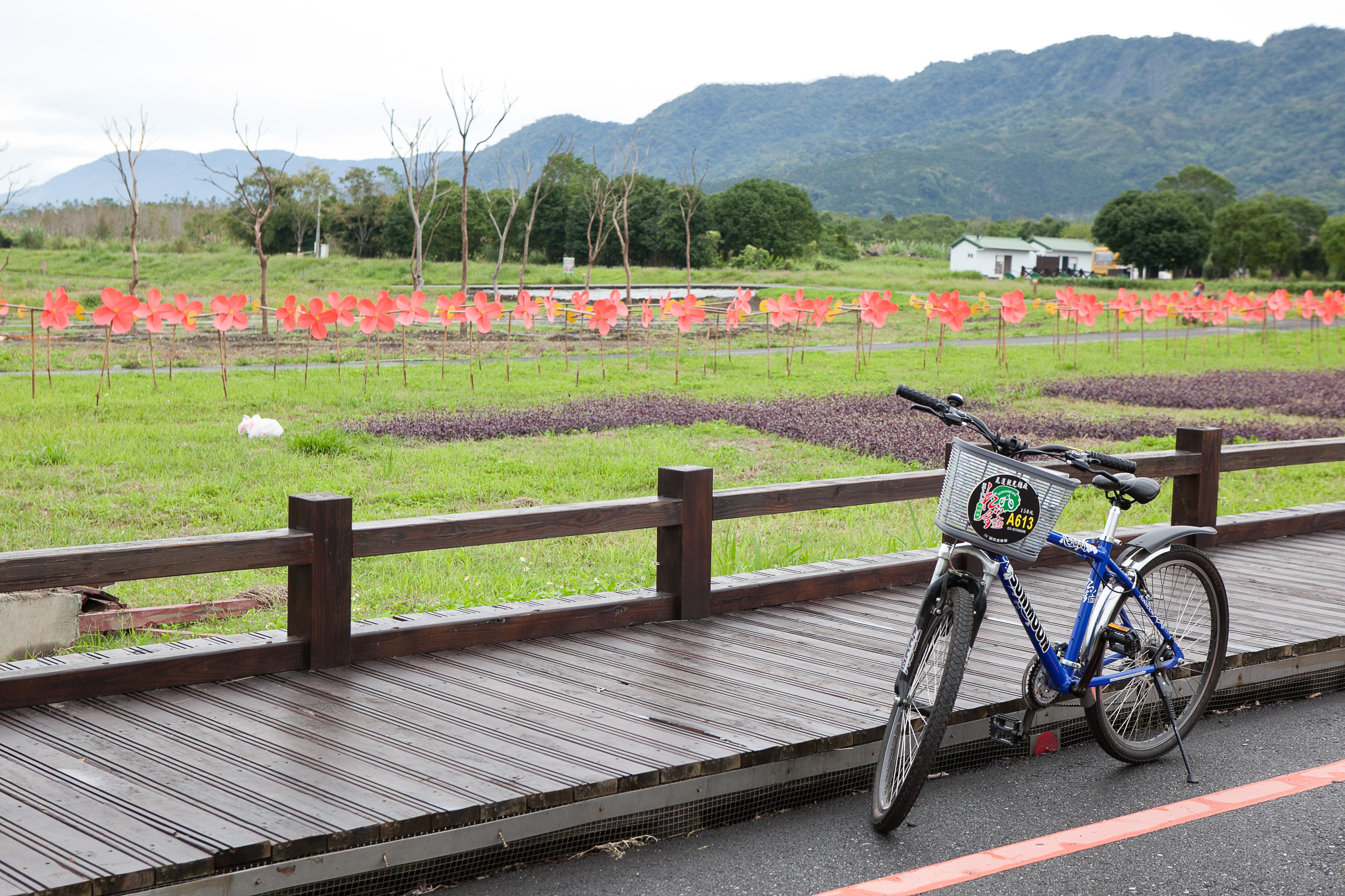 大農大富平地森林園區