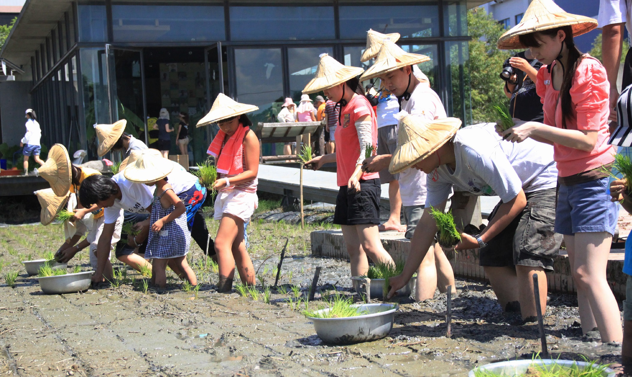 山水米有機稻場