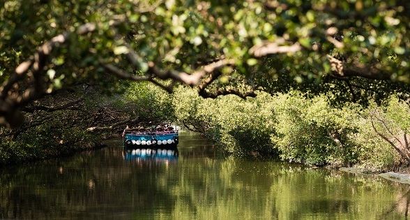 來國家公園的秘境讓你玩不停！綠色隧道1日遊