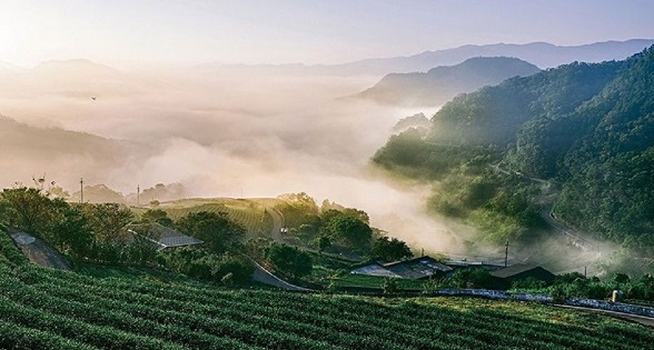 夏天就是要來坪林玩！避暑浸茶香感受在地之美！