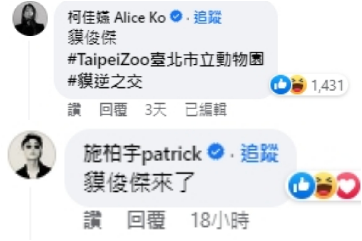 臺北市立動物園馬來貘徵名中！柯佳嬿、施柏宇大推「貘俊傑」；摩斯漢堡私心取「貘斯」