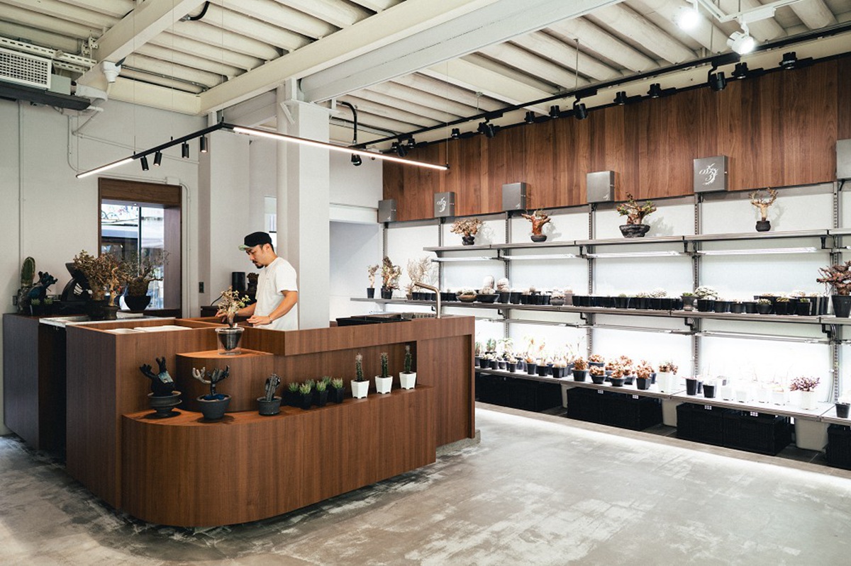 台南正興街老屋化身硬派塊根植物店「0343 CONSERVATORY TAINAN」！植物、盆器風格選物店再加一