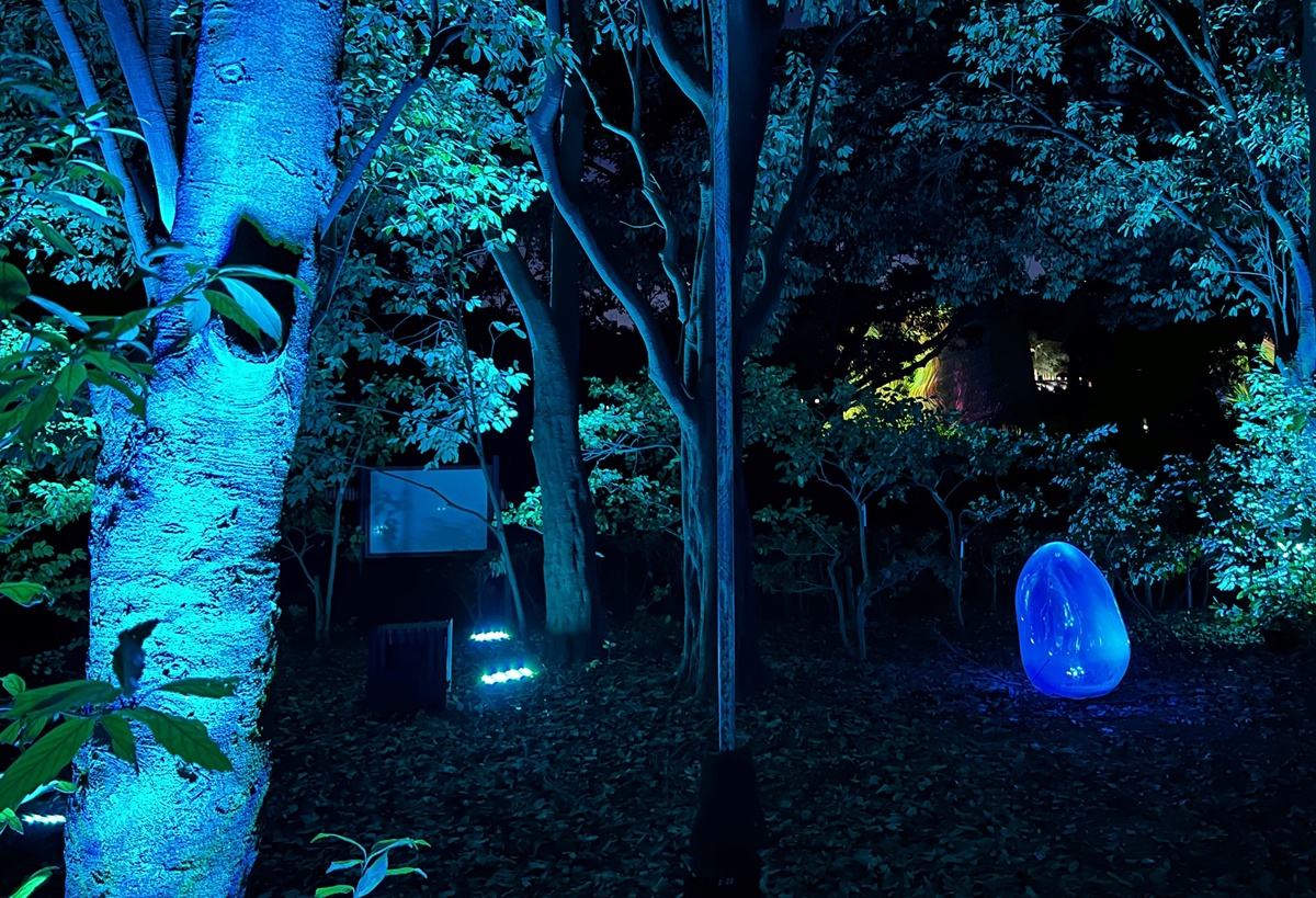 夜晚限定！前進大阪南區的沉浸式藝術展覽：大阪長居植物園夜間常設展 teamLab Botanical Garden Osaka