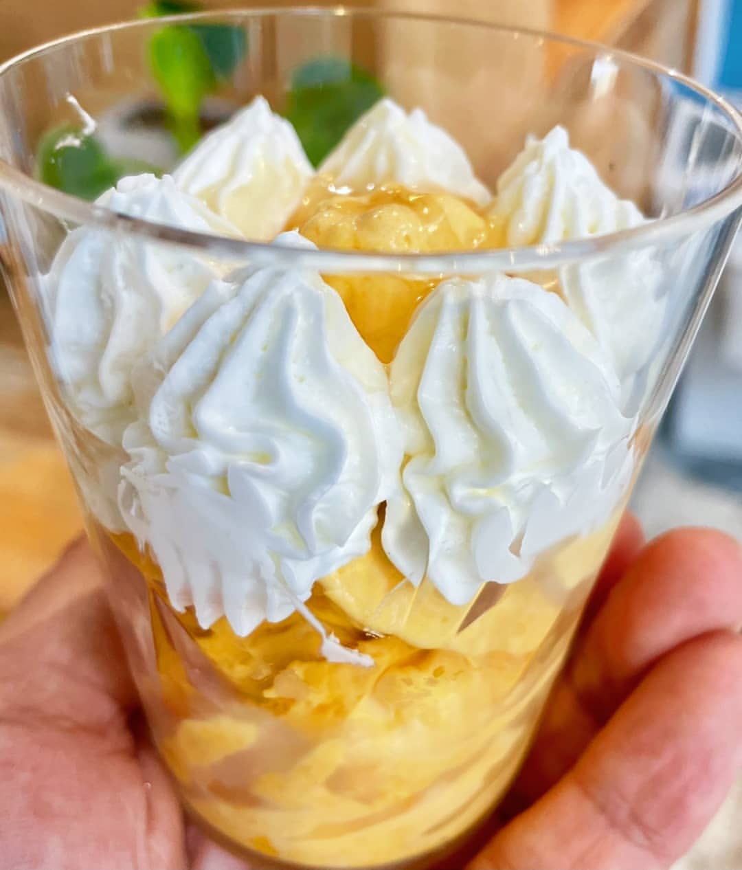 東京旅遊必吃！精選日本東京5間特色冰店：清酒冰淇淋、水果Gelato等多款療癒冰品一次收齊