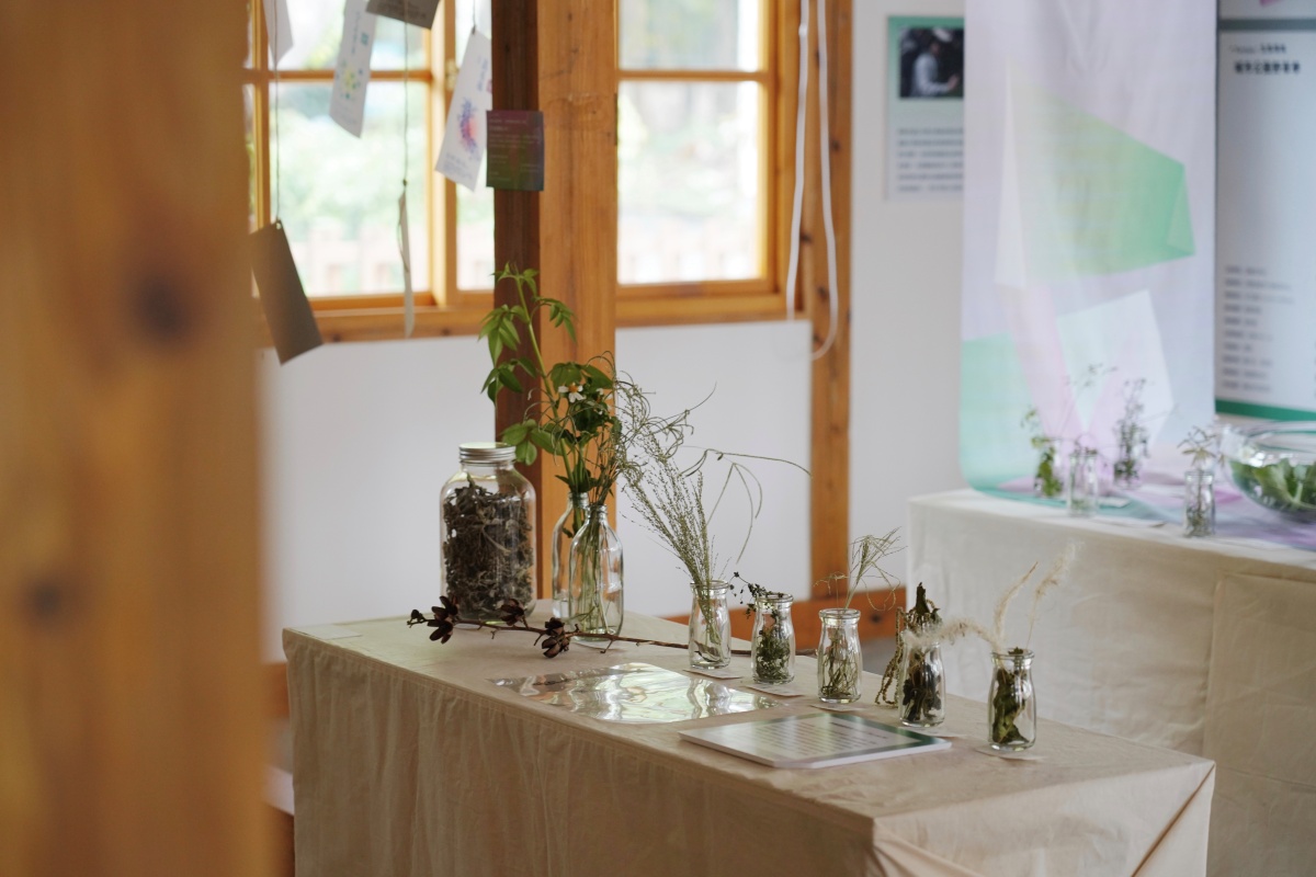 植物迷必去的「城市公園野草學」正式開展！進駐嘉義百年樹木園，邀你探索專屬嘉義的野草之美