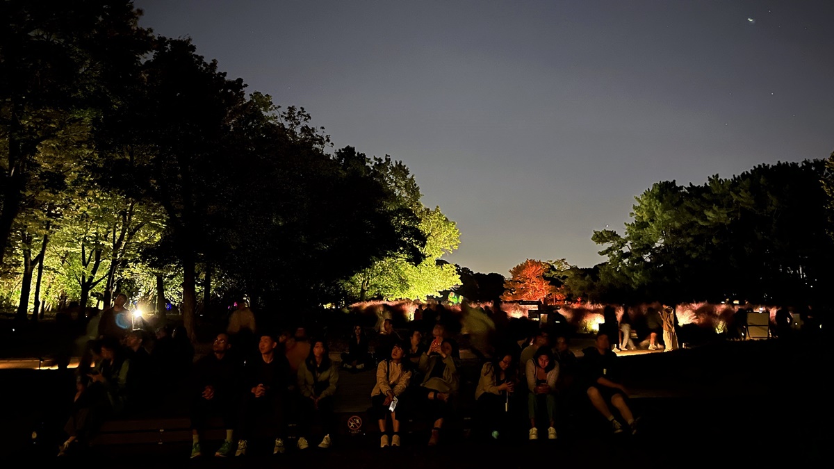 夜晚限定！前進大阪南區的沉浸式藝術展覽：大阪長居植物園夜間常設展 teamLab Botanical Garden Osaka